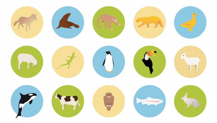 infog_animales
