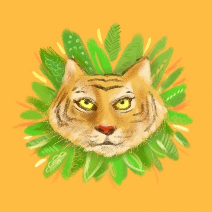 tigre1